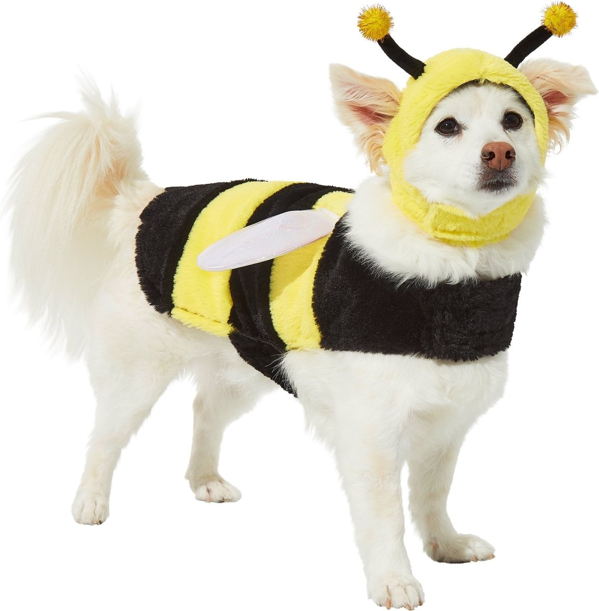 Frisco Bumble Bee Dog & Cat Costume
