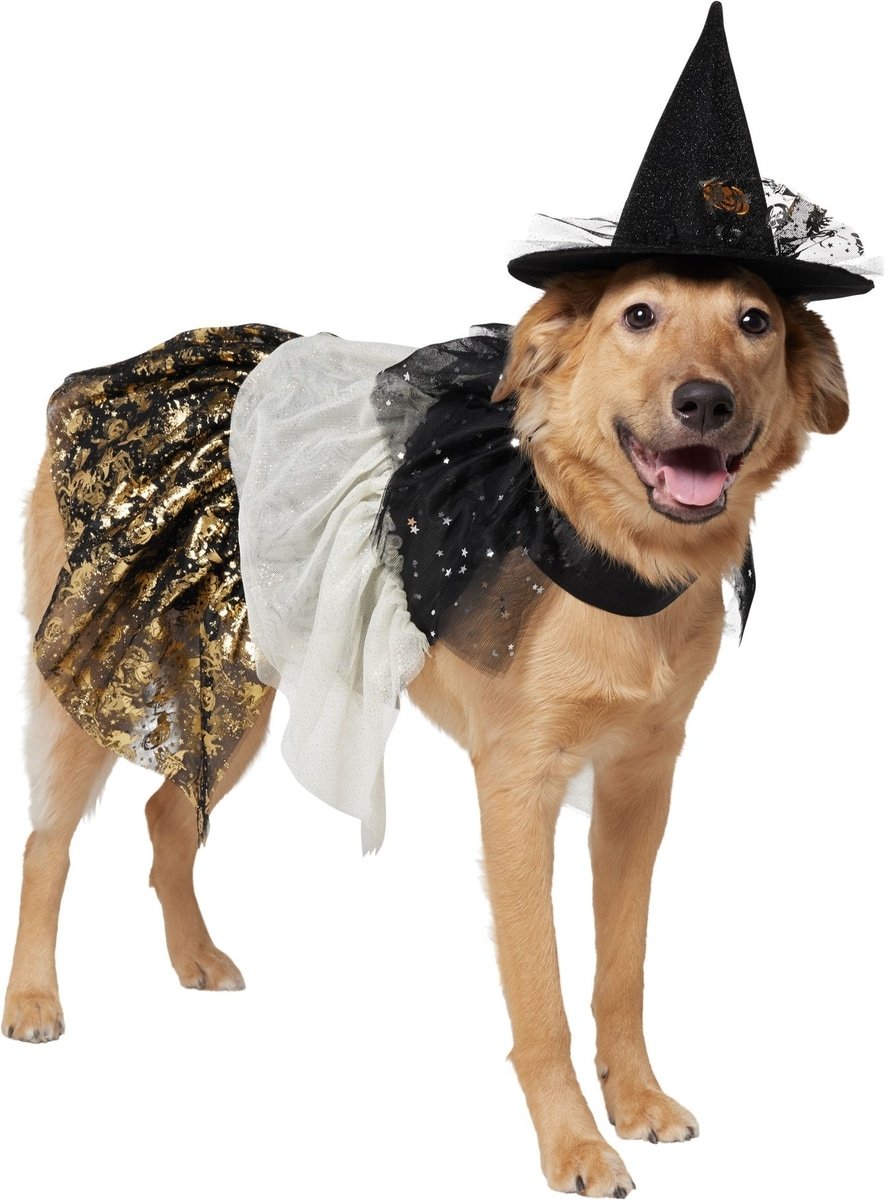 Frisco Enchanted Witch Dog & Cat Hat and Cape Costume