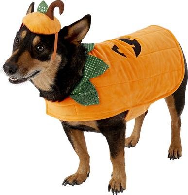 Frisco Pumpkin Jack O’ Lantern Dog & Cat Costume